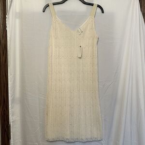 Anthropologie Meadow Rue Size 4 Cream Ivory Dress Lace Prespa Shift Lined Pleats